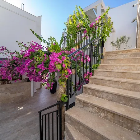 Aparthotel Noa Only Adult *