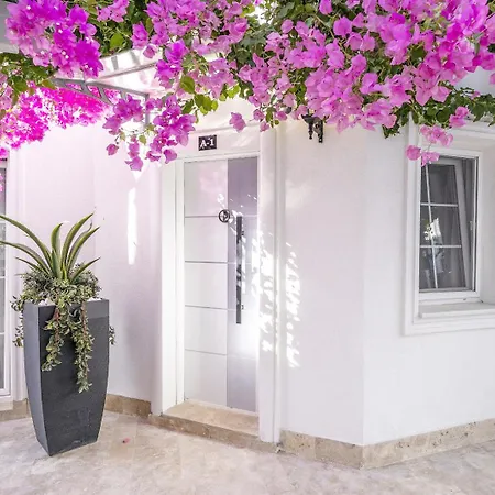 Aparthotel Noa Only Adult *