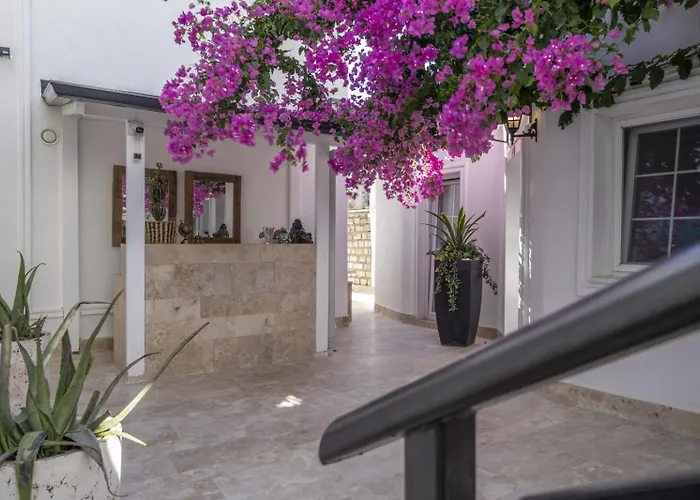 Apartahotel Noa Only Adult Bodrum