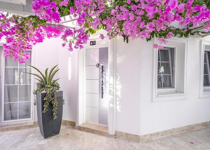 Apartahotel Noa Only Adult 5*
