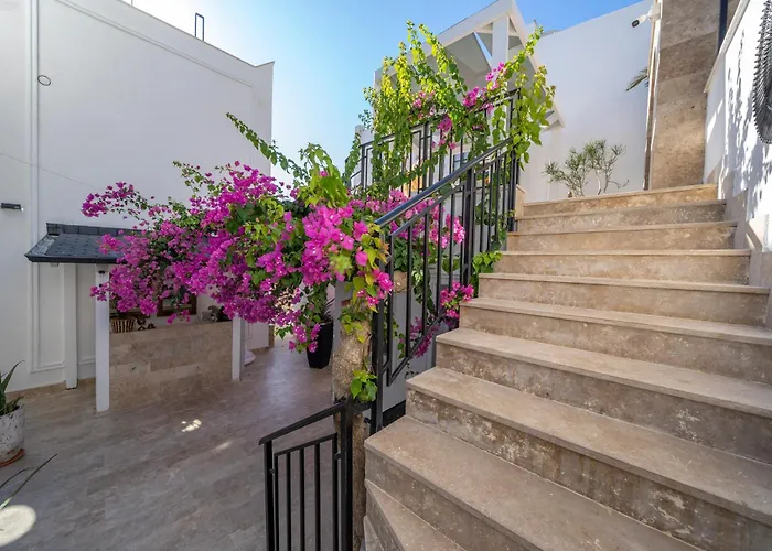 Aparthotel Noa Only Adult 5*